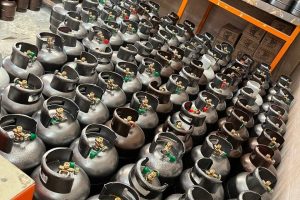 پیک نیک‌ های مسافرتی آراز پارسا